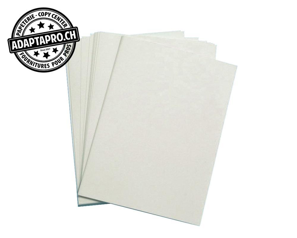 Ingold-Biwa - ING-04.02.14.4181 - Papier à dessin INGOLD-BIWA - A4 - 160g - 100 feuilles